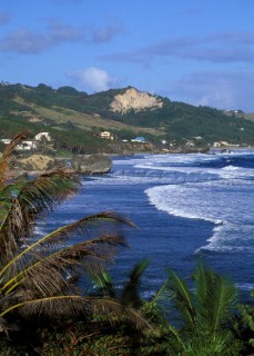 Barbados Beach - East Coast
