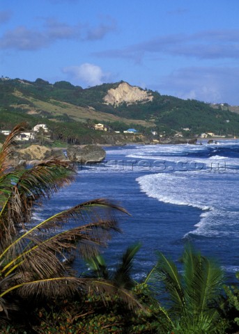 Barbados Beach  East Coast