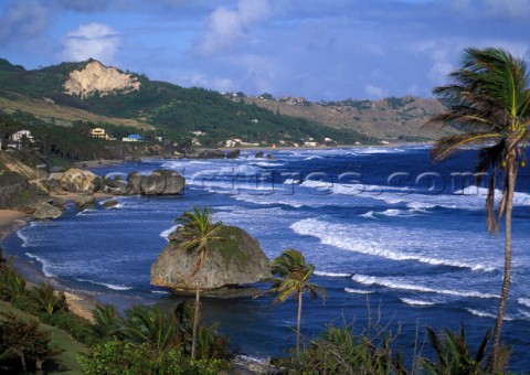 Barbados  East Coast Beach