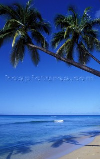 West Coast Beach - Barbados