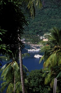 View of boats in harbour through palm trees, St Lucia, Caribbean