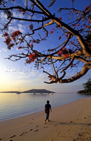 Woman walking along the beach Fiji