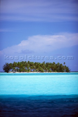 Small island covered in palm trees in shallow water  Tahiti
