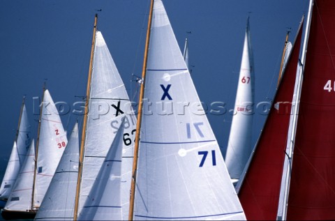 Detail of the sails of the X Boat fleet during Cowes Week