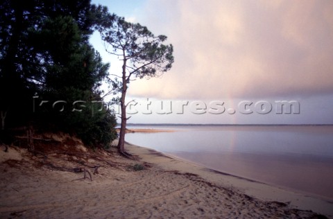 Trees on deserted beach calm sea and faint rainbow behind clouds