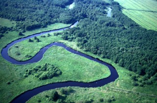 Aerial view of river runing through forest, Holland
