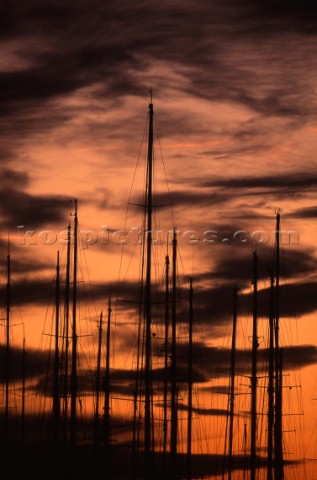 Masts in marina at sunset
