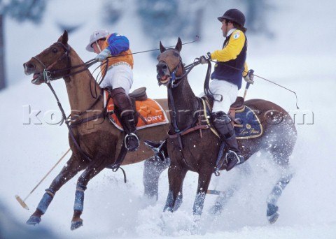 Cortina DAmpezzo 22 February 2004 Ice Polo on snow with horses in Cortina Italy