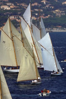 Fleet of classic yachts in St Tropez