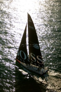 Aerial view of Open 60 sailing yacht on sunlight water