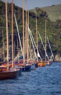 A line of colourful Salcombe Yawls at their moorings
