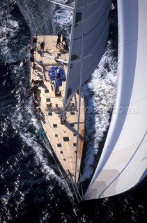 Wally maxi sailing yacht Kauris III