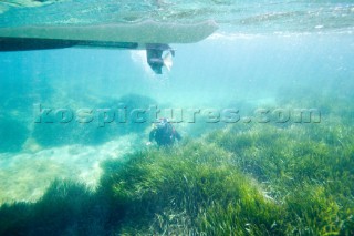 A scuba diver investigates the the seabed in the shallows
