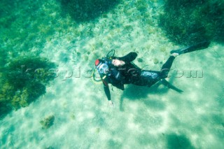 A scuba diver investigates the the seabed in the shallows
