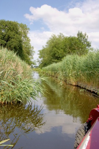 View from narrow boat travelling along overgrown section of the Montgomery canal near MaesburyShrops