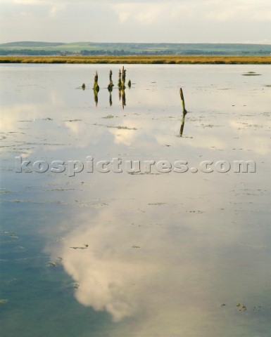 High tide at this Solent shore looking across to Newtown creek on the Isle of Wight with beautifully