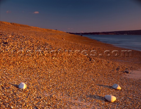 Late winter sunlight enhances orange colour of pebbles on Hurst Beach Hampshire Three pebbles in for