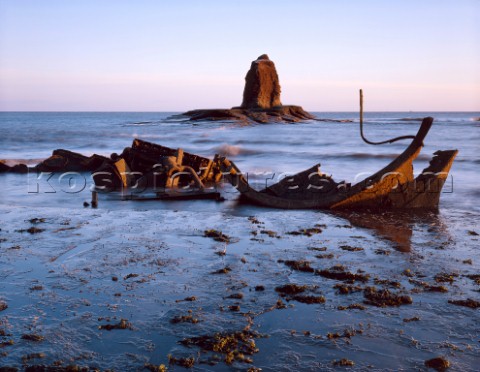 Early sun on a barnacle encrusted iron wreck at SaltwickYorkshire Sun glints off seaweed sky reflect