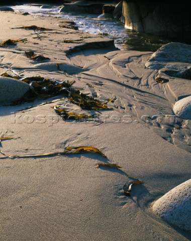 Study of granite boulders sand and seaweed with raking evening light Taken at Porth Nanven in Cornwa
