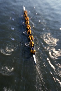 A team of rowers wearing yellow uniform clothing  in a skull on the River Thames