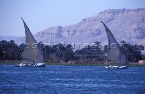 Two Feluccas on the Nile Luxor Egypt