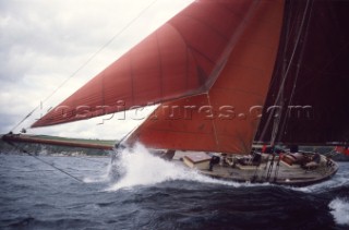 The classic Bristol Cutter Hirta owned by Tom Cuniliffe
