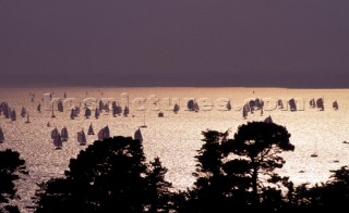 Fleet sailing into the sunset