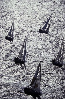 Aerial of Swan fleet in Sardinia