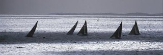 Black and white aerial shot of a small fleet of racing yachts