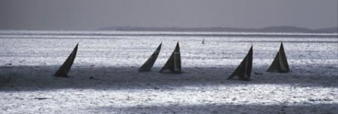 Black and white aerial shot of a small fleet of racing yachts