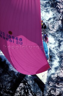 racing yacht pink spinnaker