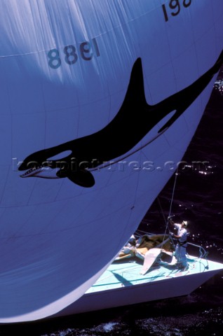 Bowman on foredeck of racing yacht under huge spinnaker