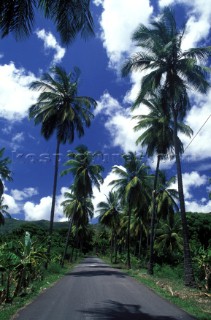 Fig Tree Drive Antigua
