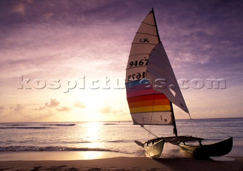 Catamaran at Sunset Barbados  Travel 