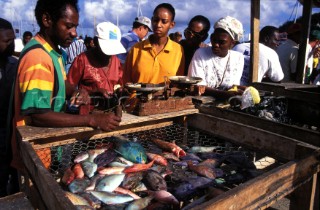 People gathered round a fish stall at a market in St Martin, Caribbean