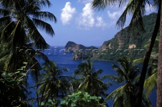 View of bay through palm trees, St Lucia, Caribbean