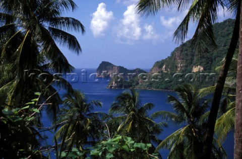 View of bay through palm trees St Lucia Caribbean