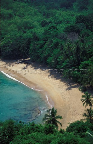 Beach on Tobago Caribbean