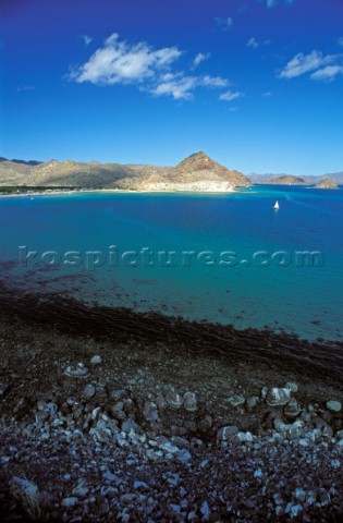 Conception bay Sea of Cortez Baja California