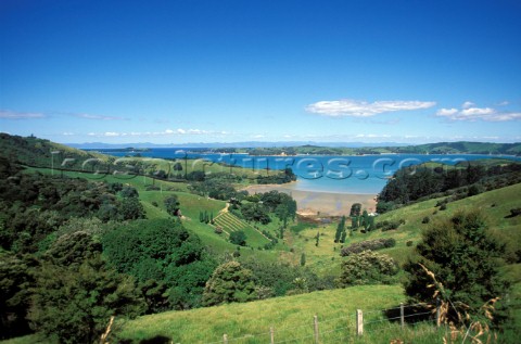 Great Barrier Island  New Zealand