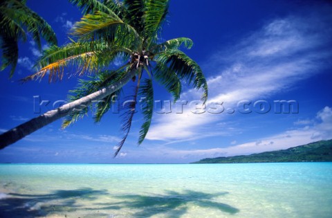 Beach scene  Moorea Tahiti