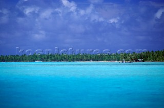 Palm trees on sandy shore - Tahiti