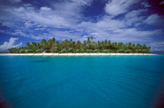 Island full of palm trees, French Polynesia