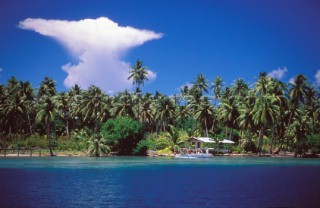 Tahitian Island. Anvil shaped cloud in clear blue sky over palm trees