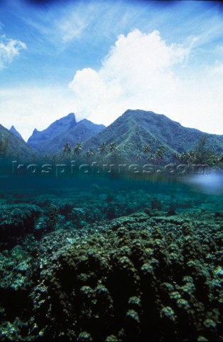 Water level shot of green hills above and coral reef below  Moorea Tahiti