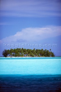 Small island covered in palm trees in shallow water - Tahiti