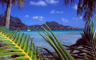 Yacht at anchor and green palms - Bora Bora, French Polynesia
