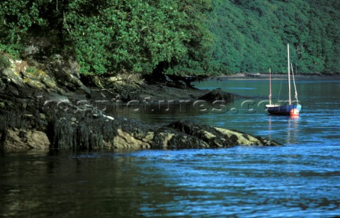Dinghy moored on the River Fal Cornwall UK