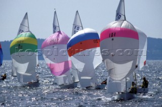 A fleet of Flying Dutchman dinghies racing in the Solent