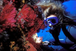 Female diver exmaines a coral reef